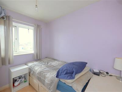 Picture 12